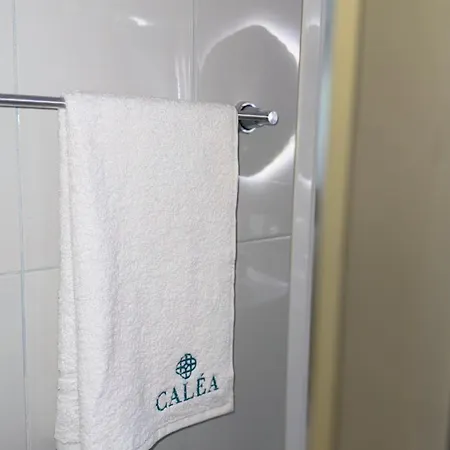 Calea A1 *